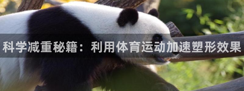 一竞技官方正版app开户