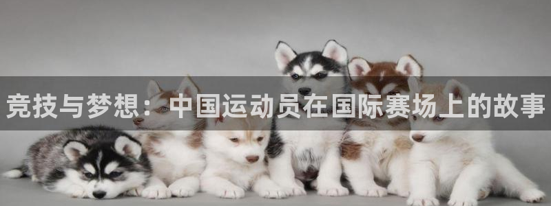 一竞技官网下载招商电话号码查询：竞技与梦想：中国运动
