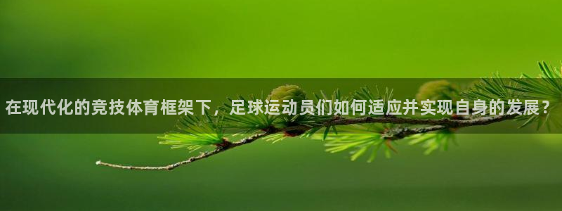 一竞技官方正版app娱乐平台：在现代化的竞技体育框架