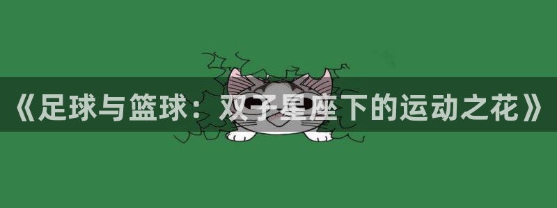 海南一竞技官网下载发展怎么样：《足球与篮球：双子星座