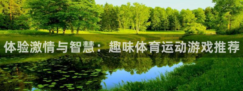 一竞技官方正版app五金厂：体验激情与智慧：趣味体育