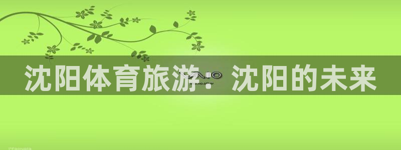 一竞技官网下载软件：沈阳体育旅游：沈阳的未来