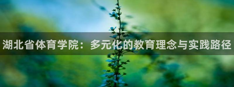 一竞技官网下载平台注册要钱吗安全吗：湖北省体育学院：