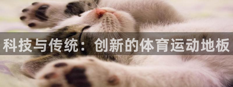 一竞技官网下载软件：科技与传统：创新的体育运动地板