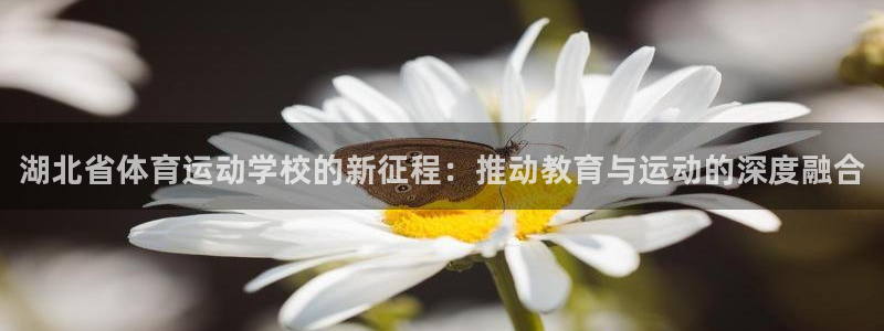 一竞技官网下载平台注册要钱吗安全吗：湖北省体育运动学