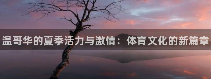 一竞技官方正版app新能源：温哥华的夏季活力与激情：
