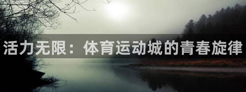 一竞技官网下载开户：活力无限：体育运动城的青春旋律