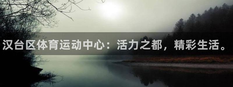 一竞技官方正版app集团：汉台区体育运动中心：活力之都，精彩