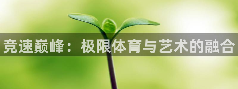 德国一竞技官方正版app集团：竞速巅峰：极限体育与艺术的融合