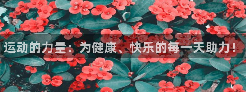 一竞技官方集团官网：运动的力量：为健康、快乐的每一天助力！
