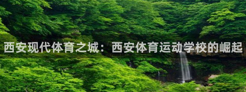 一竞技官方集团官网