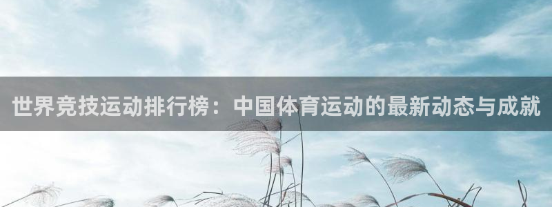 一竞技官方正版app官网