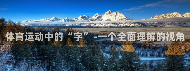 一竞技官方正版app集团简介：体育运动中的“字”-一
