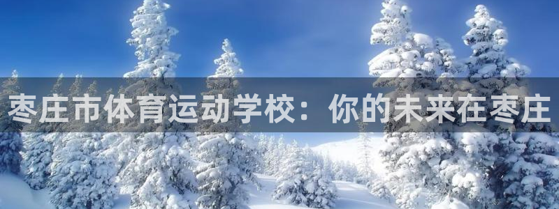 一竞技官网下载是干嘛的公司：枣庄市体育运动学校：你的