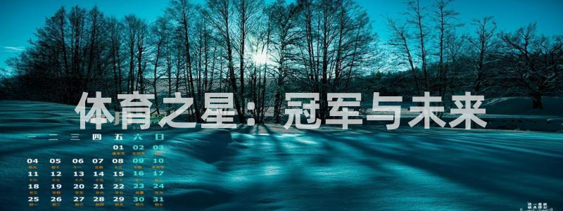 一竞技官方正版app娱乐：体育之星：冠军与未来