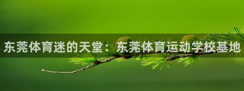 一竞技官网下载招商电话是多少啊