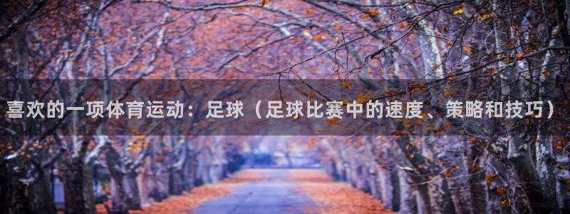 一竞技官网下载招商电话号码：喜欢的一项体育运动：足球（足球比