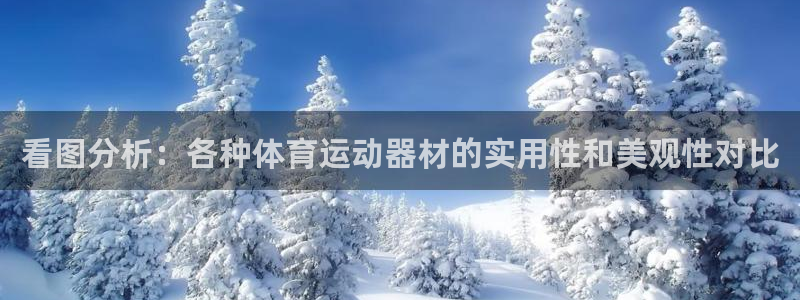 一竞技官方正版app集团：看图分析：各种体育运动器材的实用性