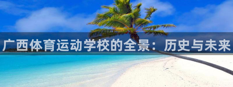 一竞技官网下载：广西体育运动学校的全景：历史与未来