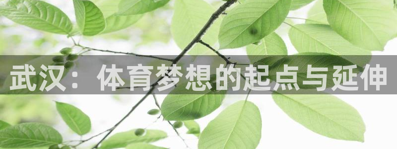 一竞技官网下载招商电话是多少号码：武汉：体育梦想的起点与延伸
