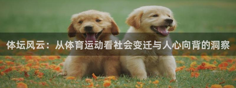 一竞技官网下载招商电话号码是多少：体坛风云：从体育运