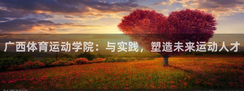 一竞技官方正版app集团简介