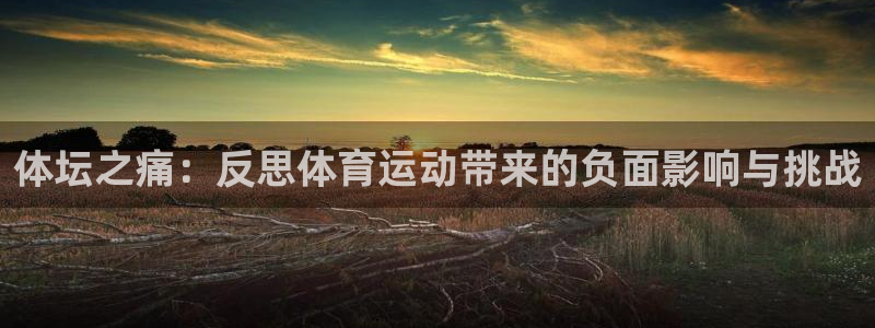 一竞技官网下载平台是正规平台吗：体坛之痛：反思体育运动带来的