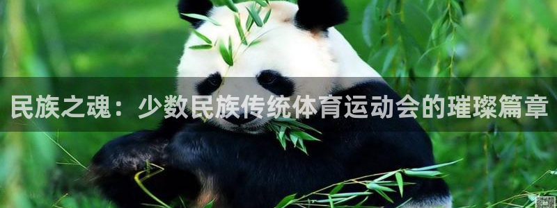 一竞技官方正版app官网